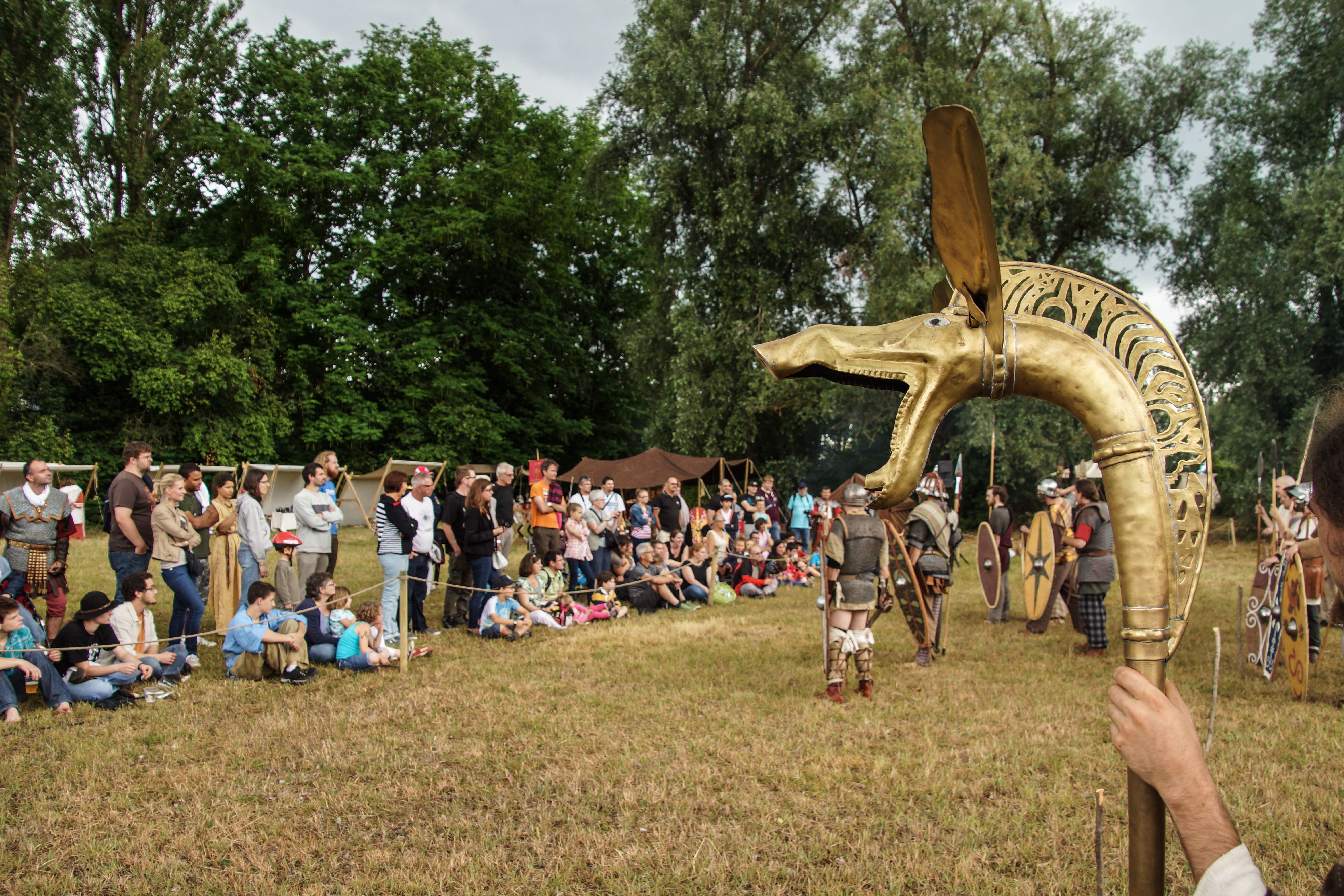 2014-07 Gaulois dans la plaine-08669