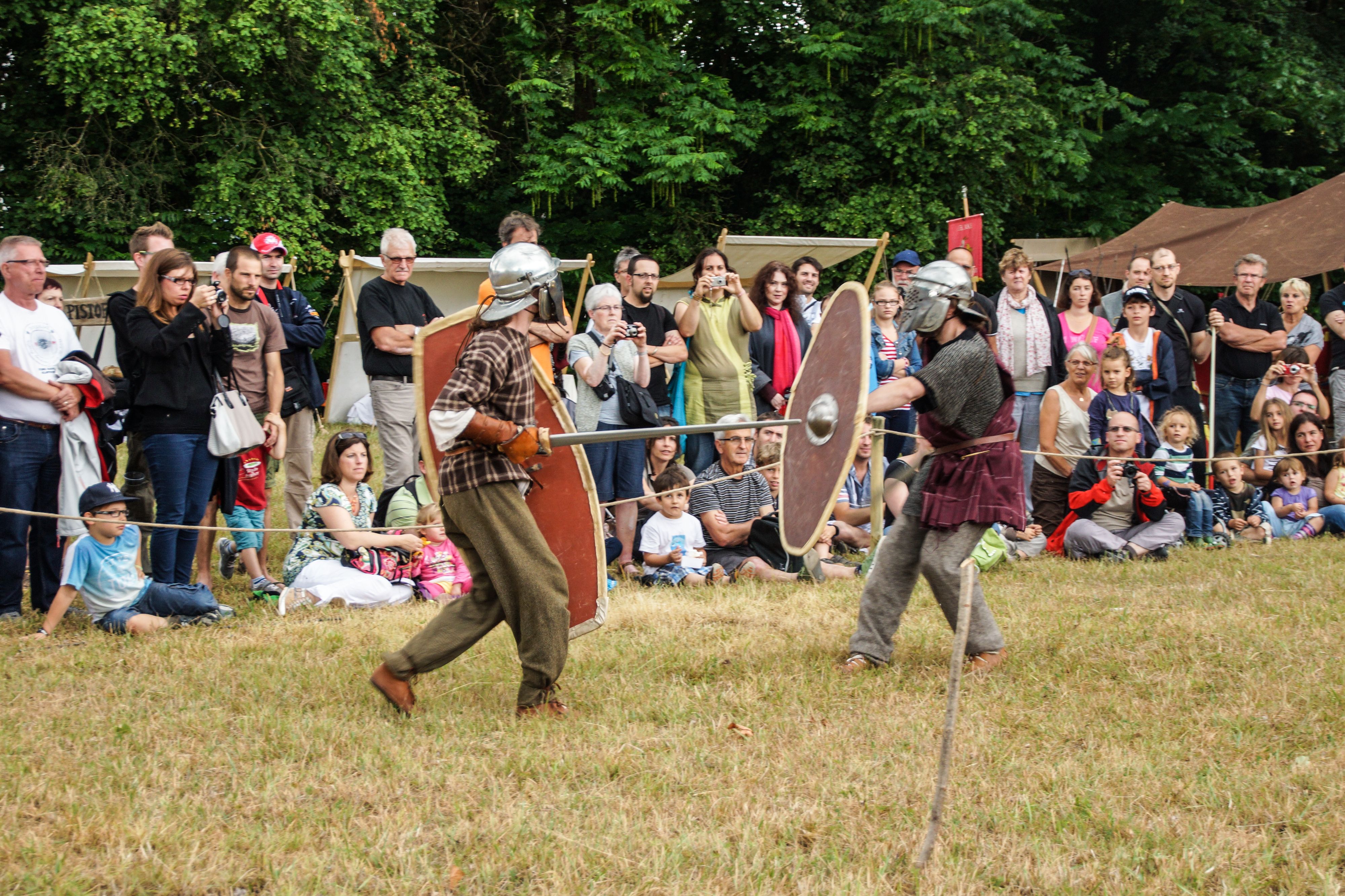 2014-07 Gaulois dans la plaine-08679