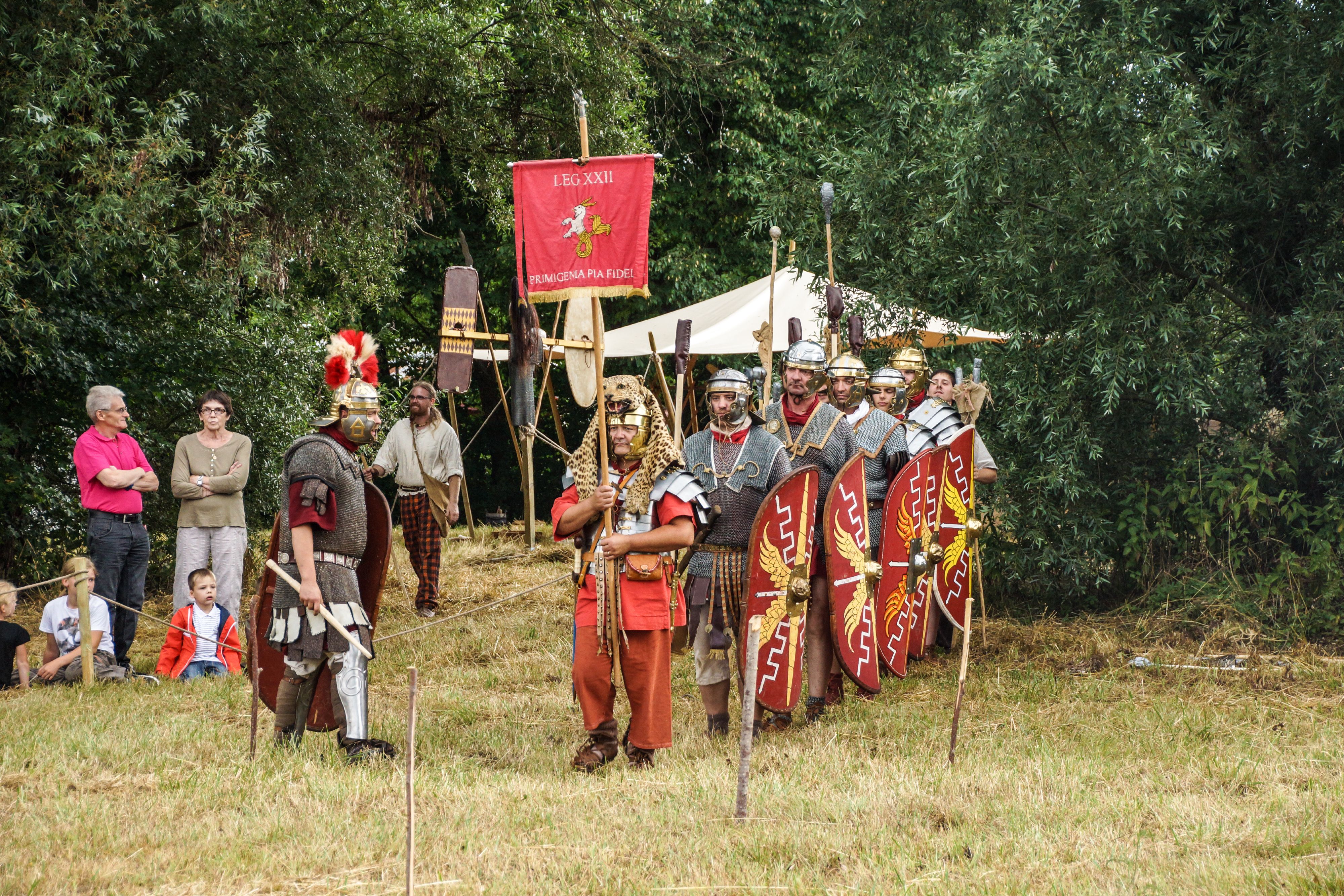 2014-07 Gaulois dans la plaine-08682