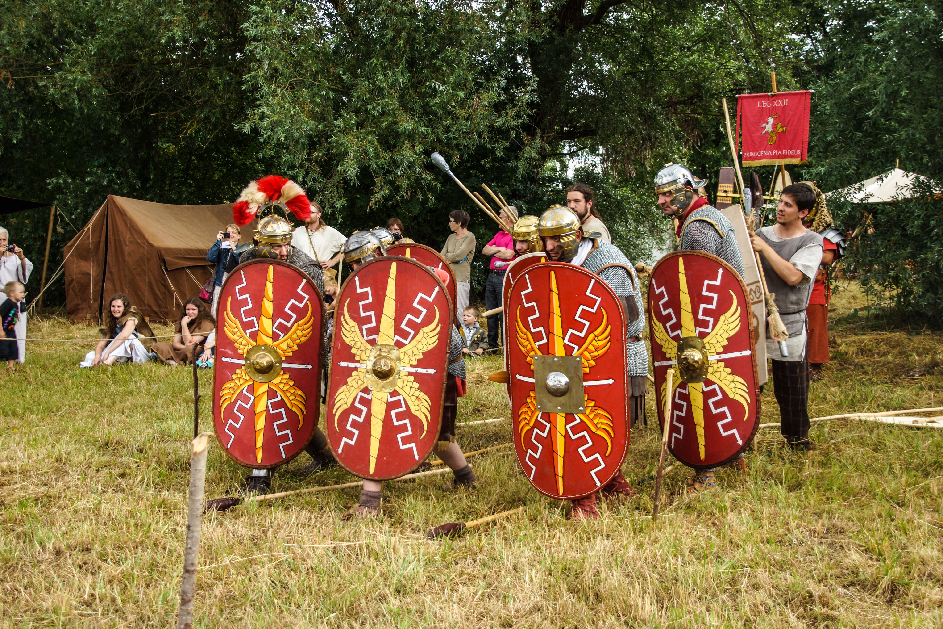 2014-07 Gaulois dans la plaine-08686