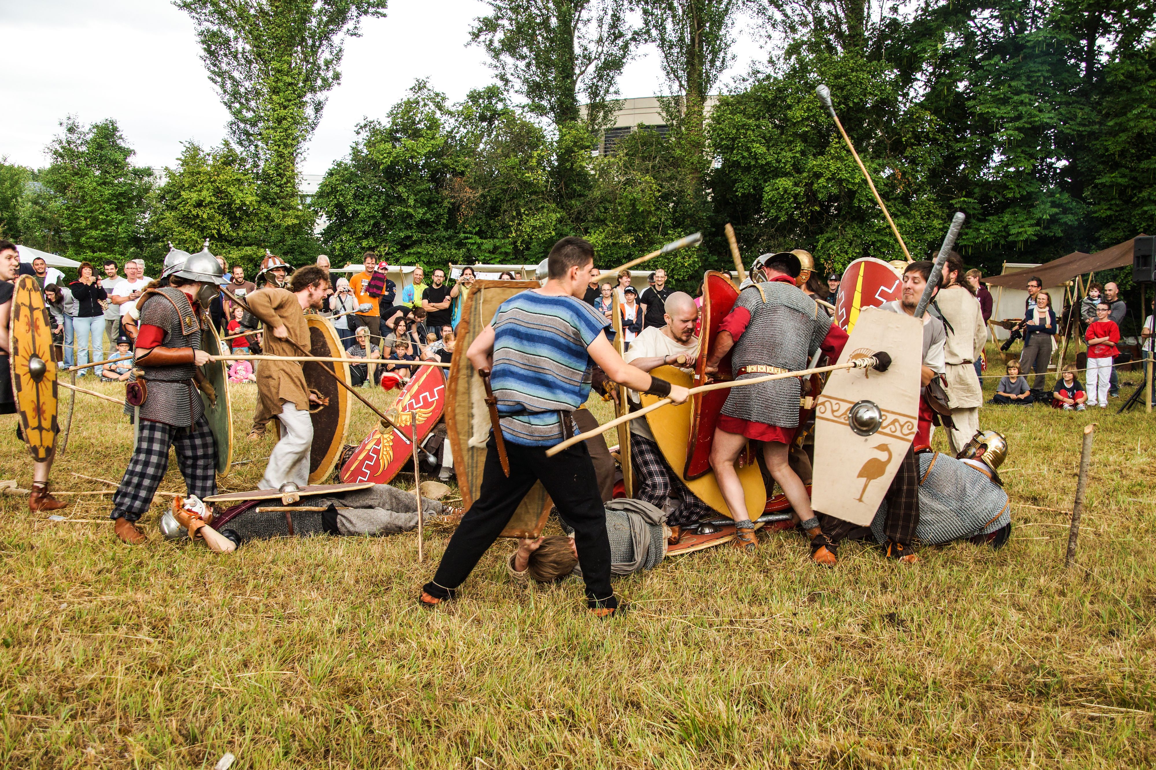 2014-07 Gaulois dans la plaine-08693