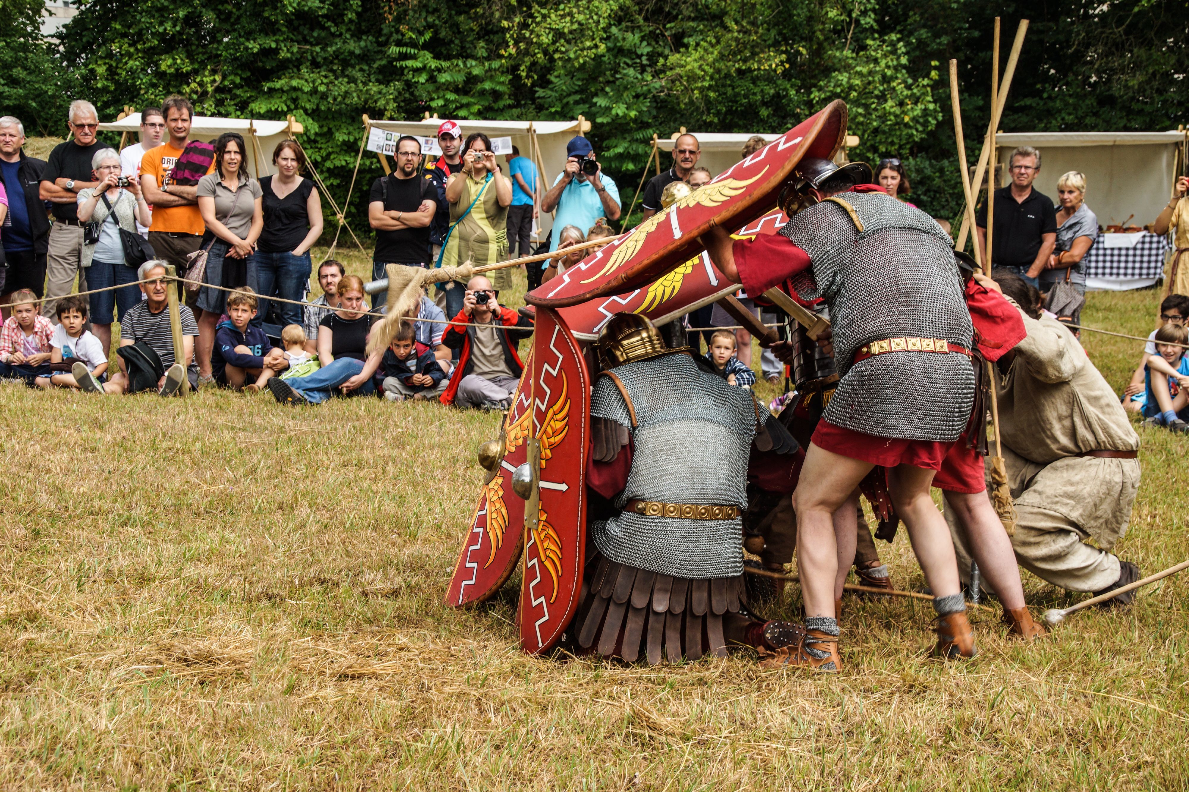 2014-07 Gaulois dans la plaine-08699