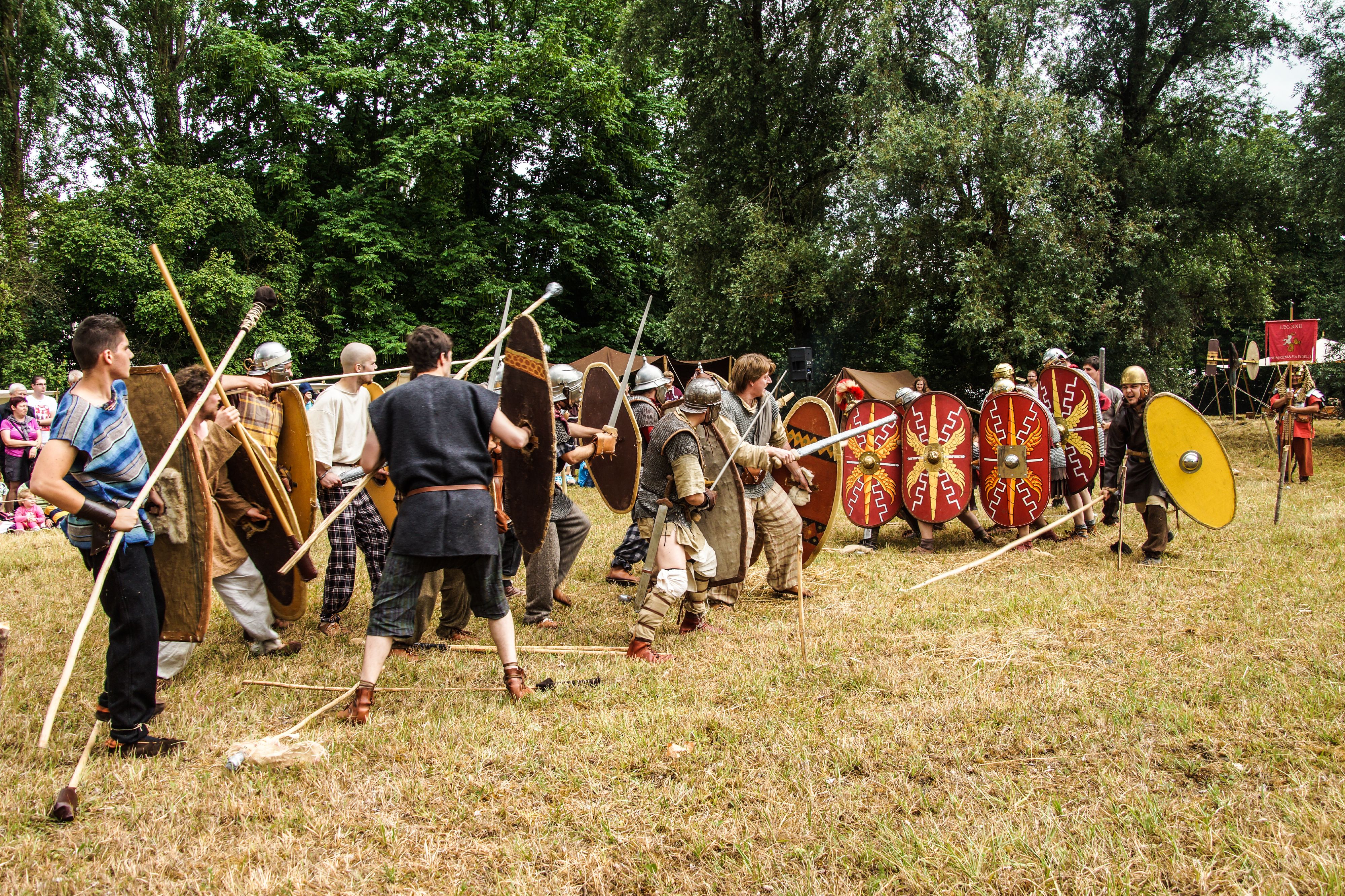 2014-07 Gaulois dans la plaine-08703