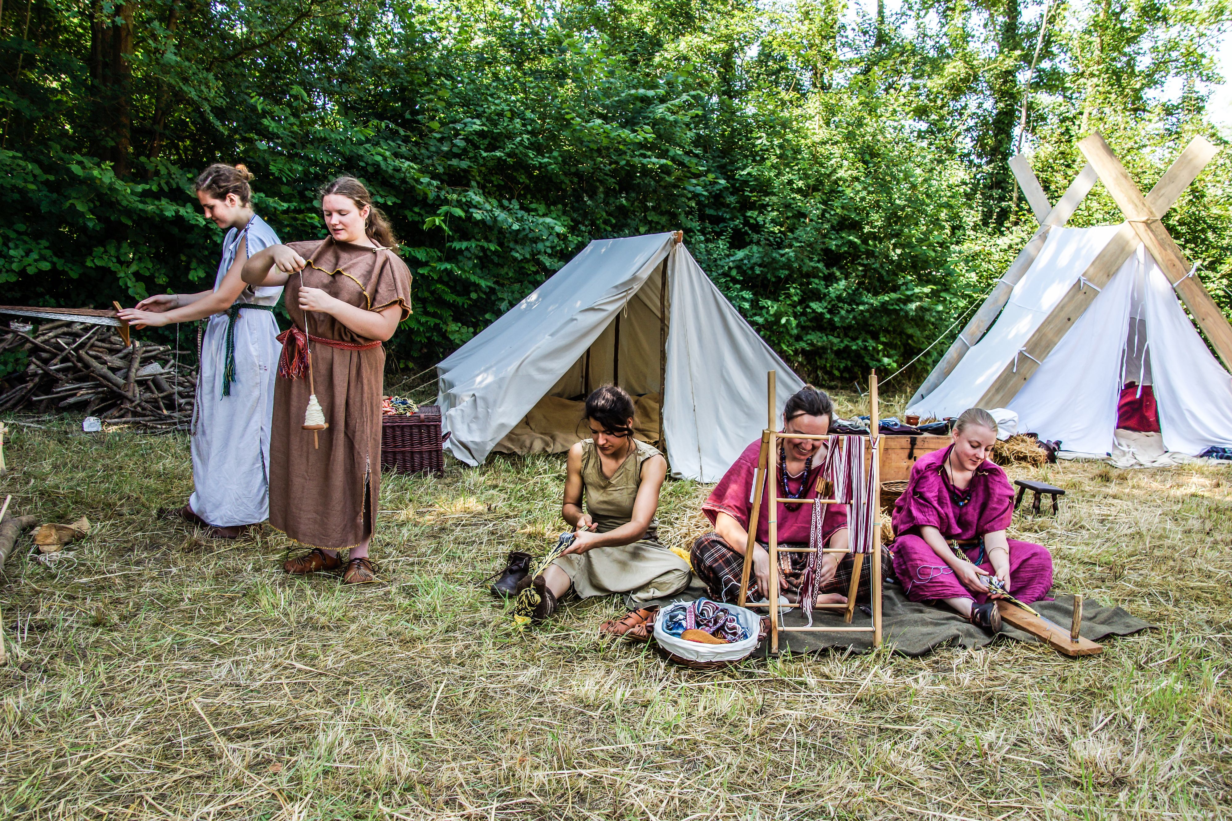 2014-07 Gaulois dans la plaine-08802