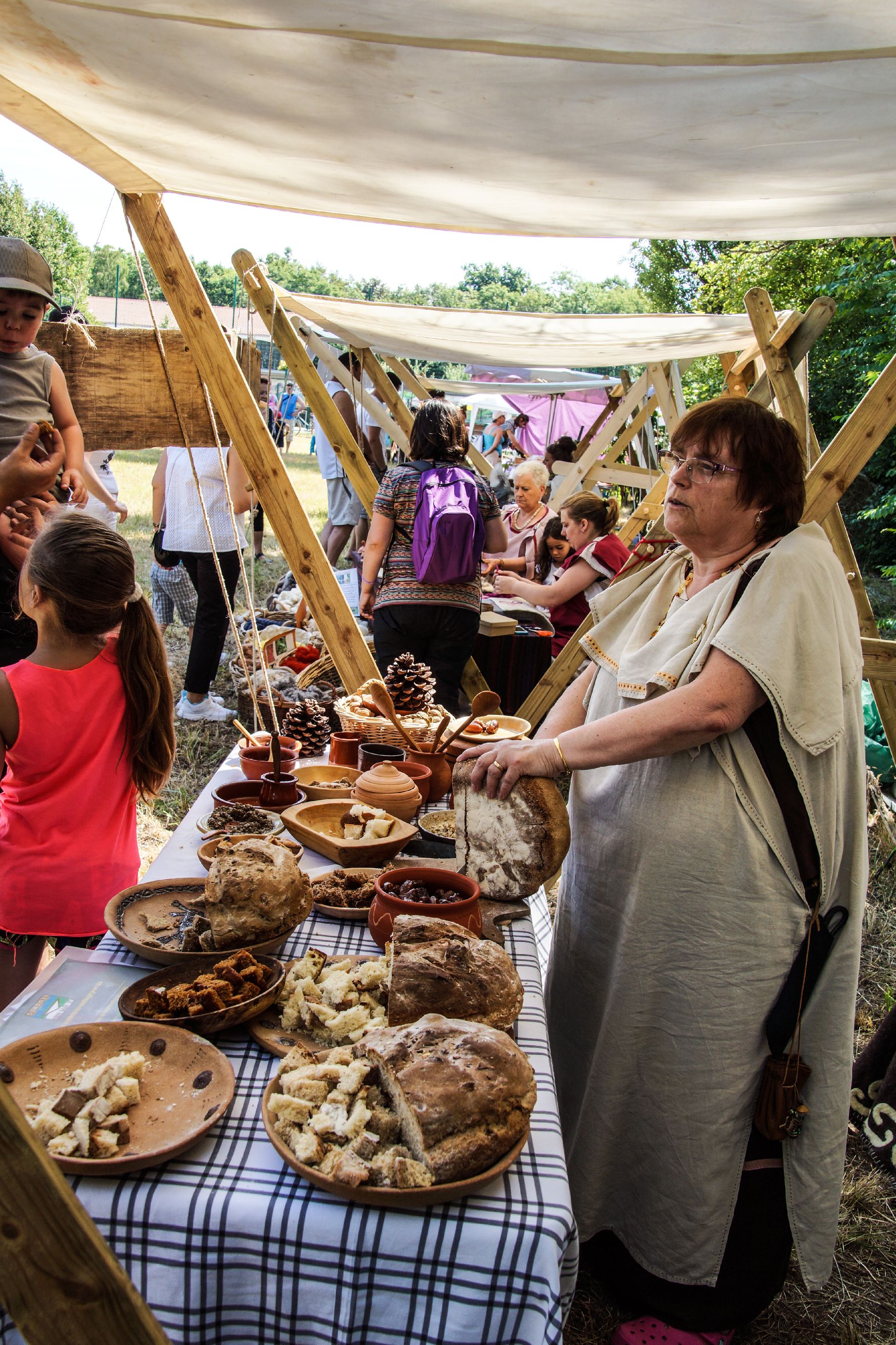 2014-07 Gaulois dans la plaine-08832