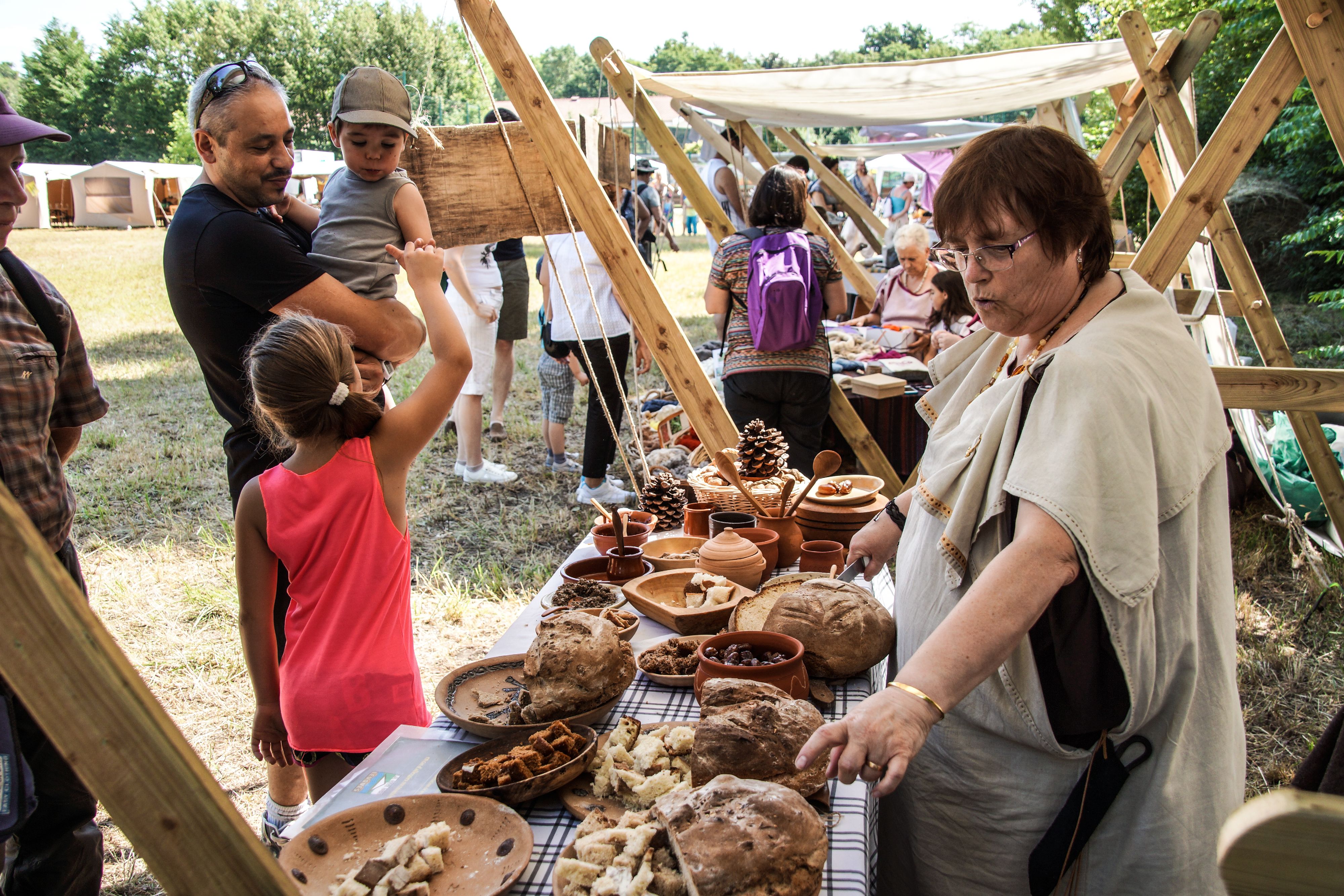 2014-07 Gaulois dans la plaine-08833