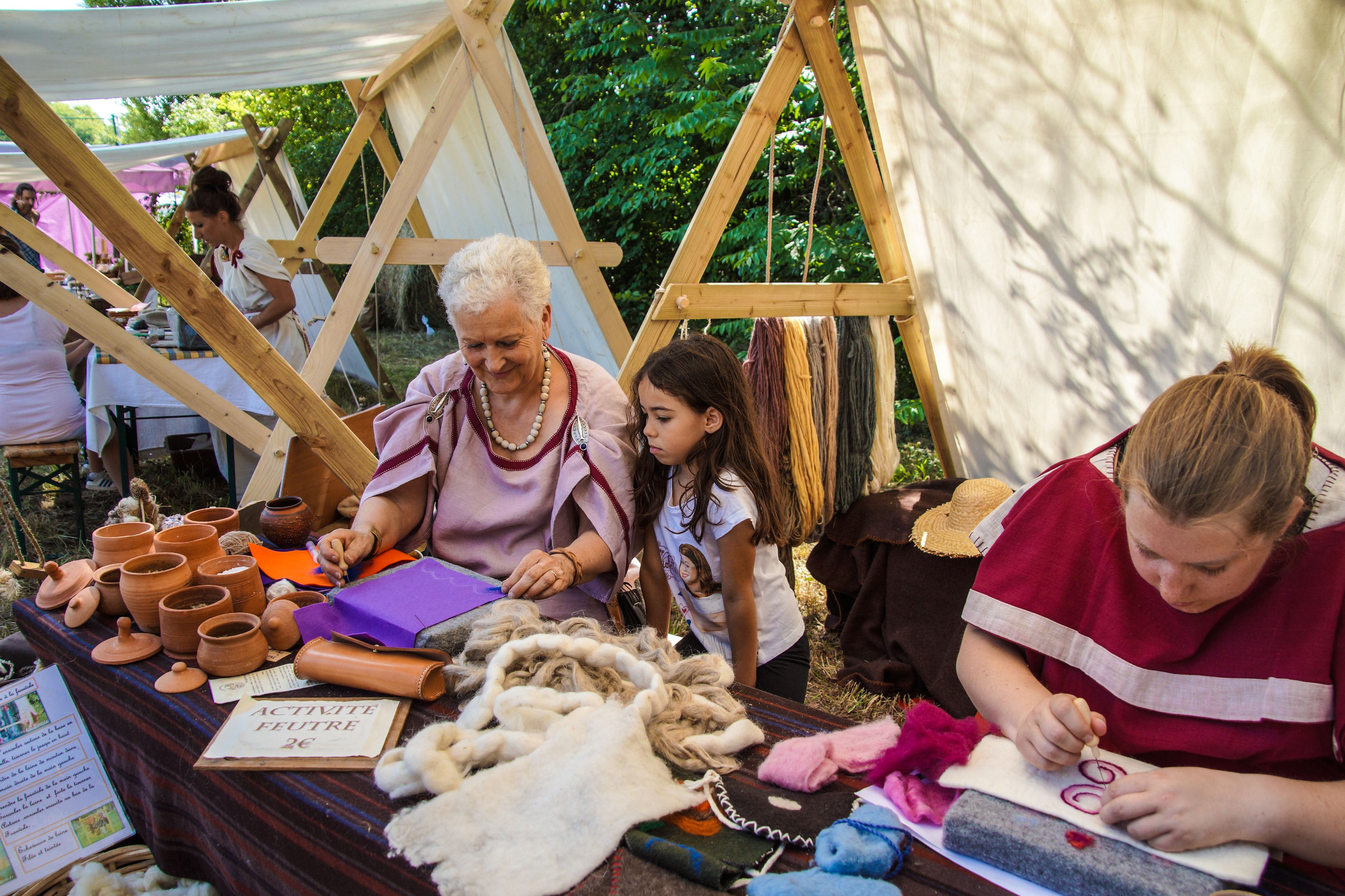 2014-07 Gaulois dans la plaine-08835