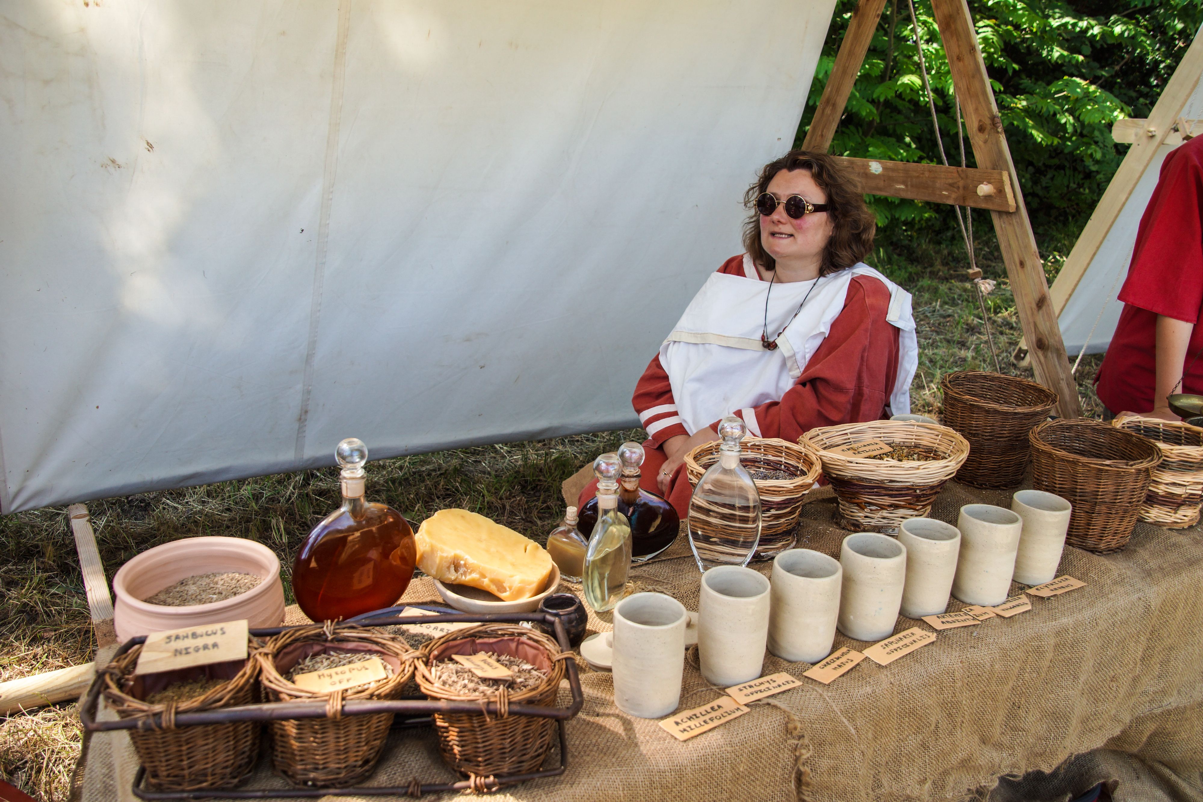 2014-07 Gaulois dans la plaine-08839