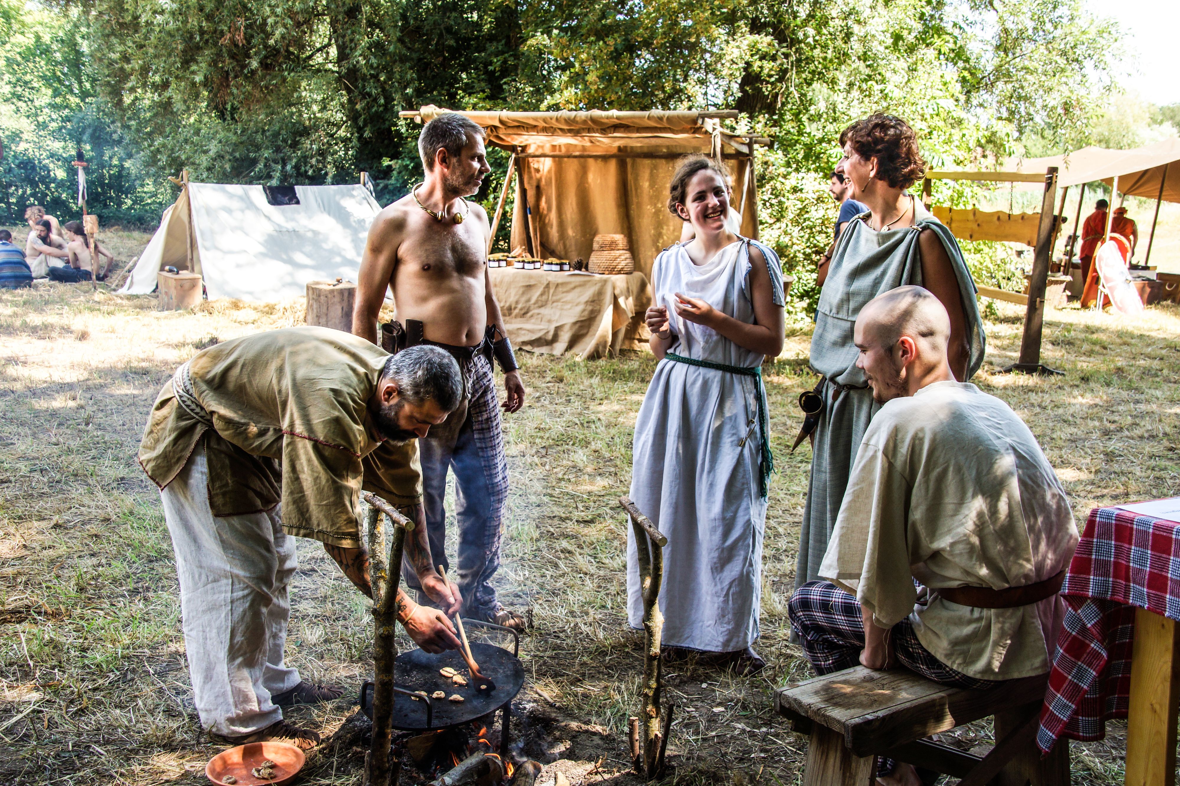 2014-07 Gaulois dans la plaine-08849