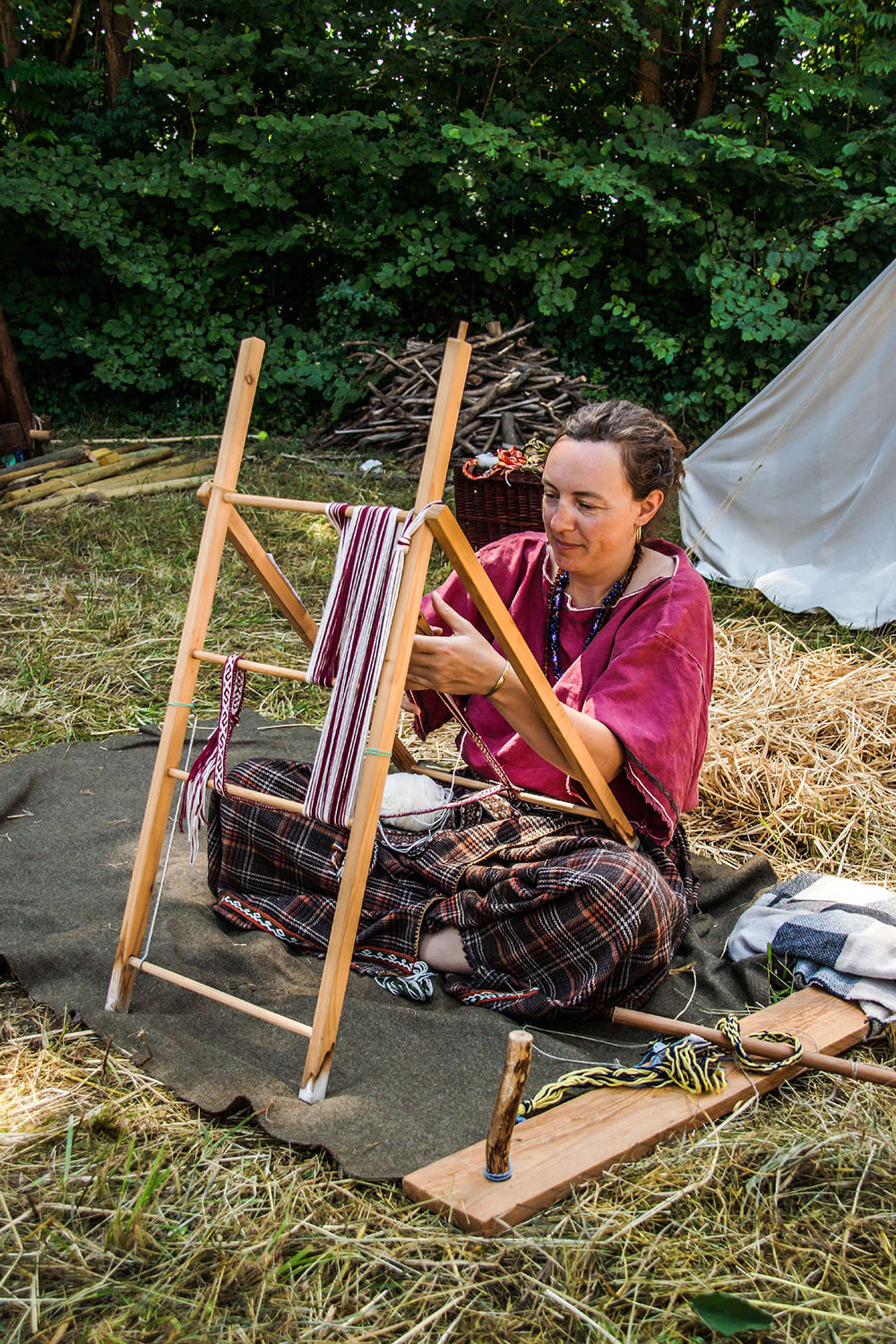 2014-07 Gaulois dans la plaine-08872